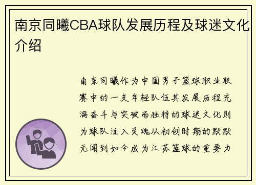 南京同曦CBA球队发展历程及球迷文化介绍