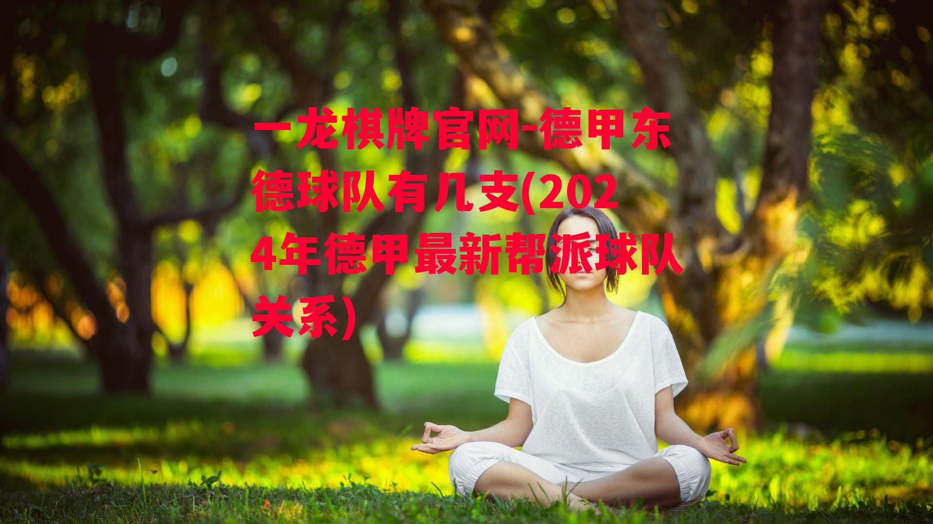 德甲东德球队有几支(2024年德甲最新帮派球队关系)