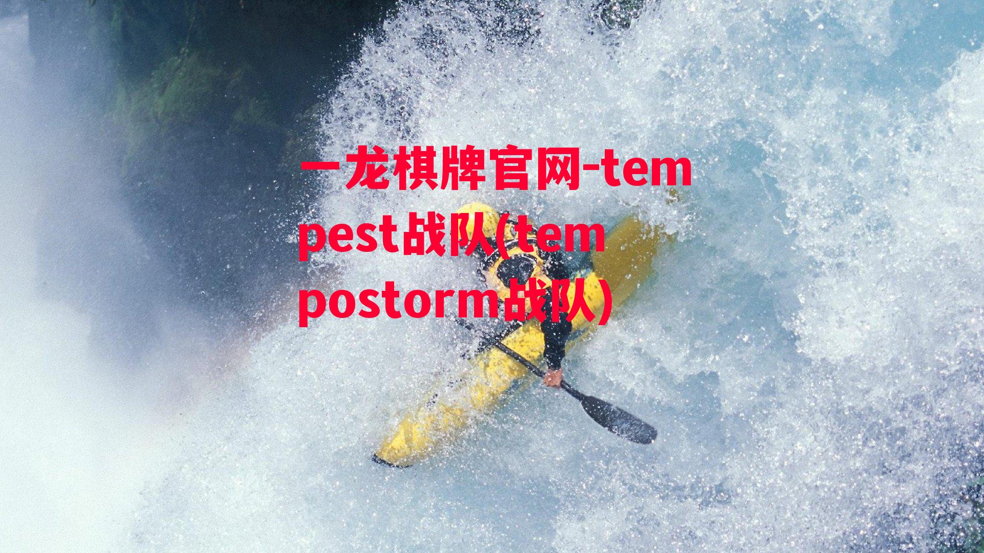 tempest战队(tempostorm战队)